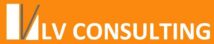 LV Consulting
